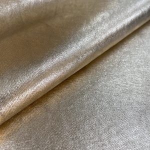 Canvas Metal Champagne